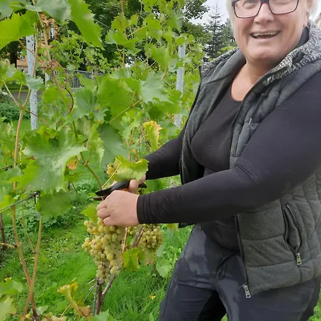 דירה Weingut Lahmer August Rebstock *